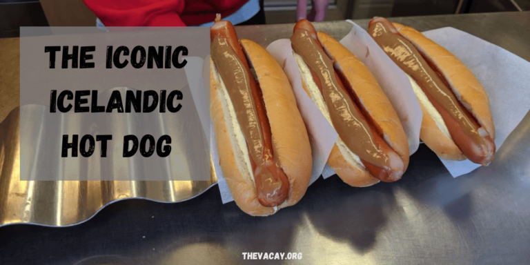 The Iconic Icelandic Hot Dog