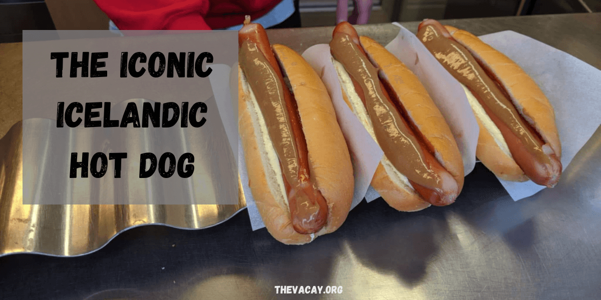 A photo of three properly dressed icelandic hot dogs